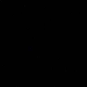 Meet your Posher, Eli